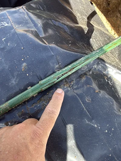 Close-up of torn sheathing on a post-tension cable before a concrete pour.